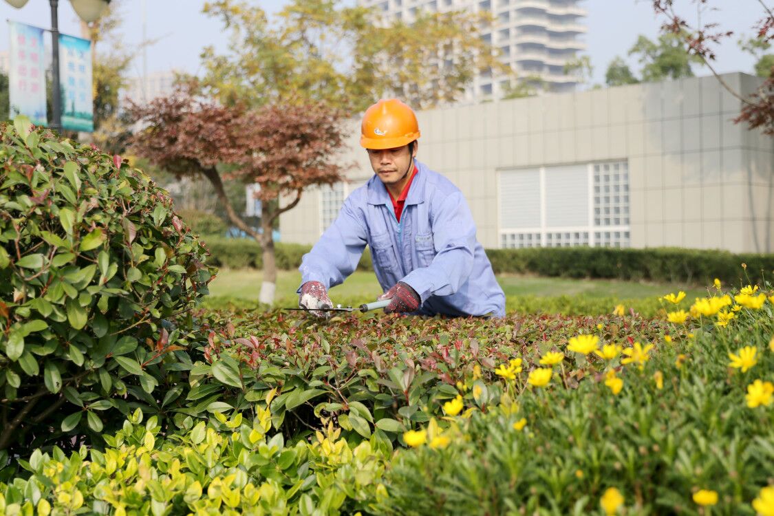 太仓绿化养护