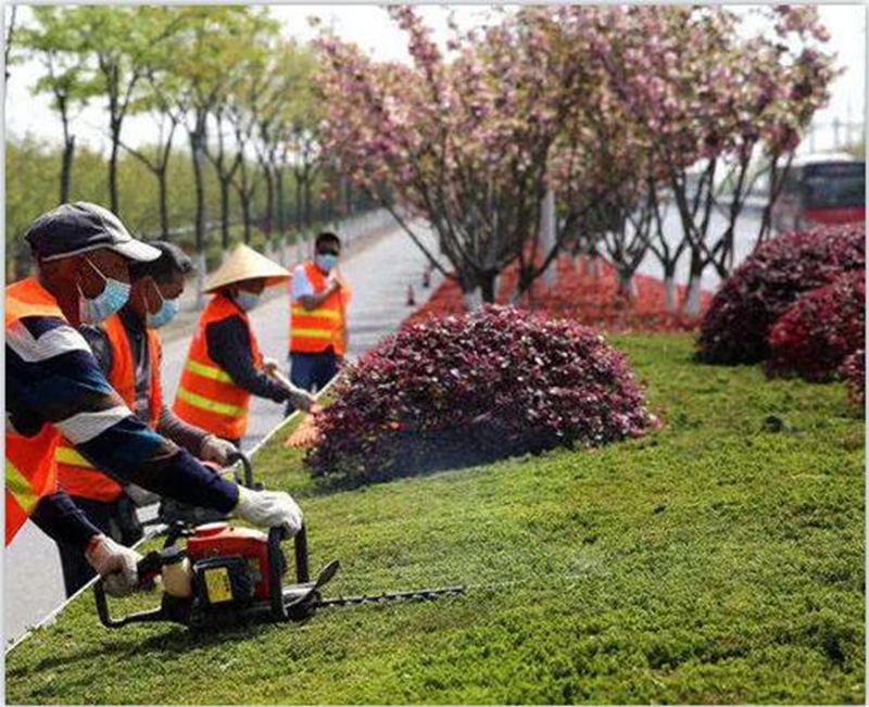 吴中园林养护灌溉排水和护理制度